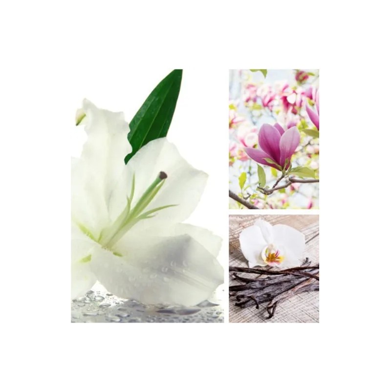 Aromas Para Difusores Profesionales A Base De Aceites 100ml Spa