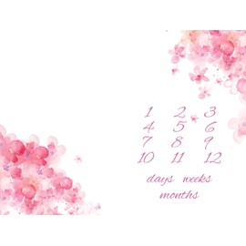 Pink Floral Days, Weeks, Months Milestone Blanket Weekly Growth Tracker, Newborn Baby Blanket, Girl Baby Blanket, Baby Blanket Girls (50" x 60")