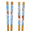One Piece Brook Designs Set Of 2 Collectable Anime Bamboo