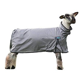 ProCool™ Sheep Blanket with Reflective Piping, Small, Gray