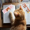 INFUNLY 6 Pieces Cartoon Cat DIY Cross Stitch Bookmark Set