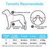 VBMNBZX Dispositivo de Guía de Arnés para Perros Ciegos Ajustable,