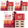 Chong Kun Dang Health Healthy Khan Milk Thistle Royal 24g, 30 tablets, 3 units / 종근당건강 헬씨칸 밀크씨슬 로얄 24g, 30정, 3개
