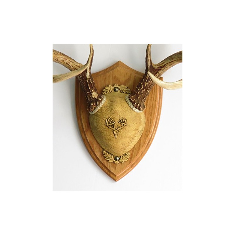 Taxidermists Woodshop TTW Ultimate Antler Mounting Kit - Medium Oak