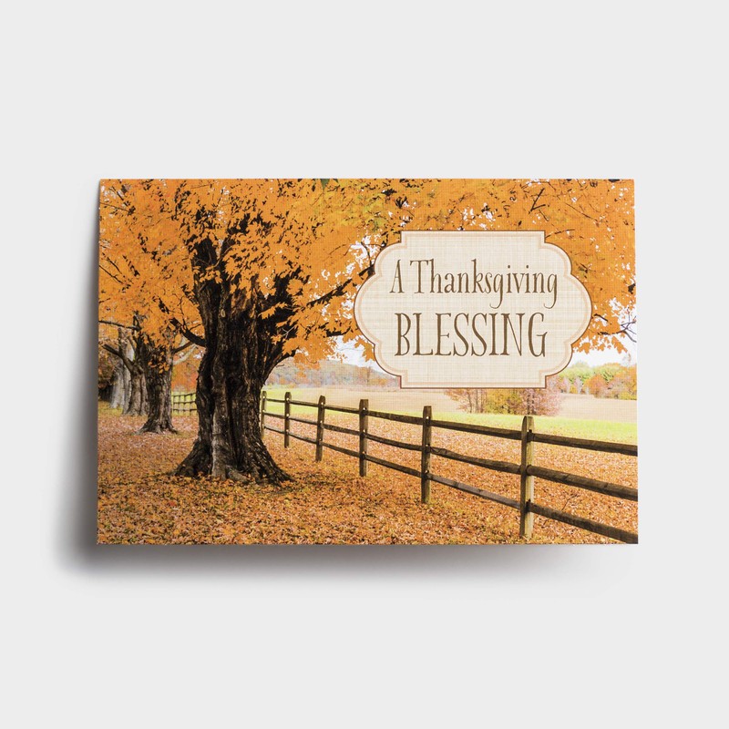 DaySpring - Thanksgiving Blessings – 8 Fall Design Assortment with