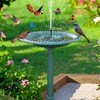 Bird Bath with Solar Fountain, 24 Inch Height Green Birdbath