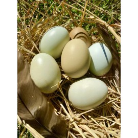 Unbranded 12 Hollow GREEN Eggs from Free-range Hens