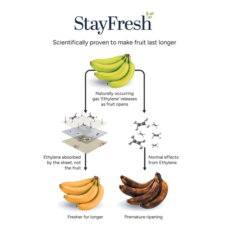 6 Lakeland Stayfresh Sheets Keeps Soft Fruit Fresher For Longer