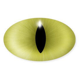 CafePress Cat's Yellow Eye Oval Sticker Oval Car Bumper Sticker