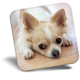 Destination Vinyl ltd Fridge Magnet - Cute Chihuahua Dog Puppy Pet Animal 24218