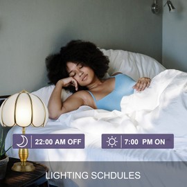 New One Smart Dimmer Plug, 2.4G Wi-Fi Dimmable Smart Plug, 2-Way Switch, Voice Control, White