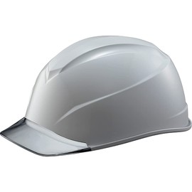 Tanizawa Seisakusho Air Light S equipped helmet (transparent visor type, with groove) Transparent visor: Gray/Hat Body Color: Gray 123-JZV-V2-GR5-J ST#123-JZV