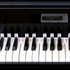 Piano Keyboard Stickers,Piano Notes Guide for Beginner 61/54/49/37 Keyboard Digital