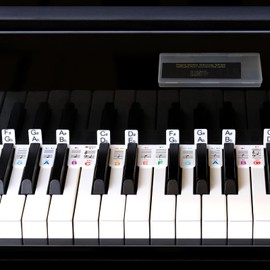 Piano Keyboard Stickers,Piano Notes Guide for Beginner 61/54/49/37 Keyboard Digital Piano,Removeable Piano Key Labels Made of Reusable Silicone with Storage Box (Rainbow)