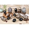 AMOYSTONE Single Healing Crystal Rock Egg Orthoceras Stone Large with