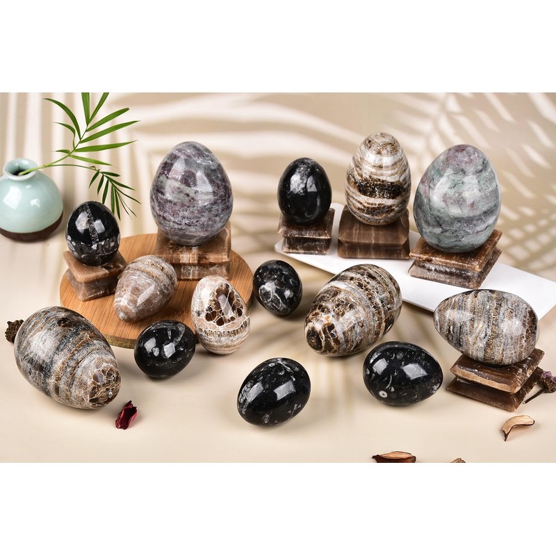 AMOYSTONE Single Healing Crystal Rock Egg Orthoceras Stone Large with