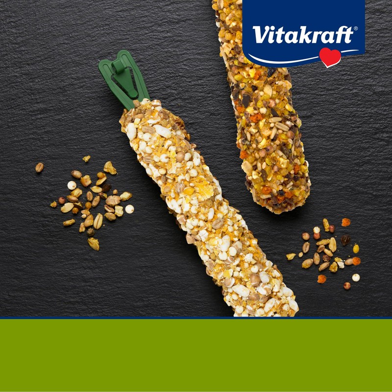 Vitakraft Rabbit/Guinea Pig Popped Grains Treat Sticks - Apple And