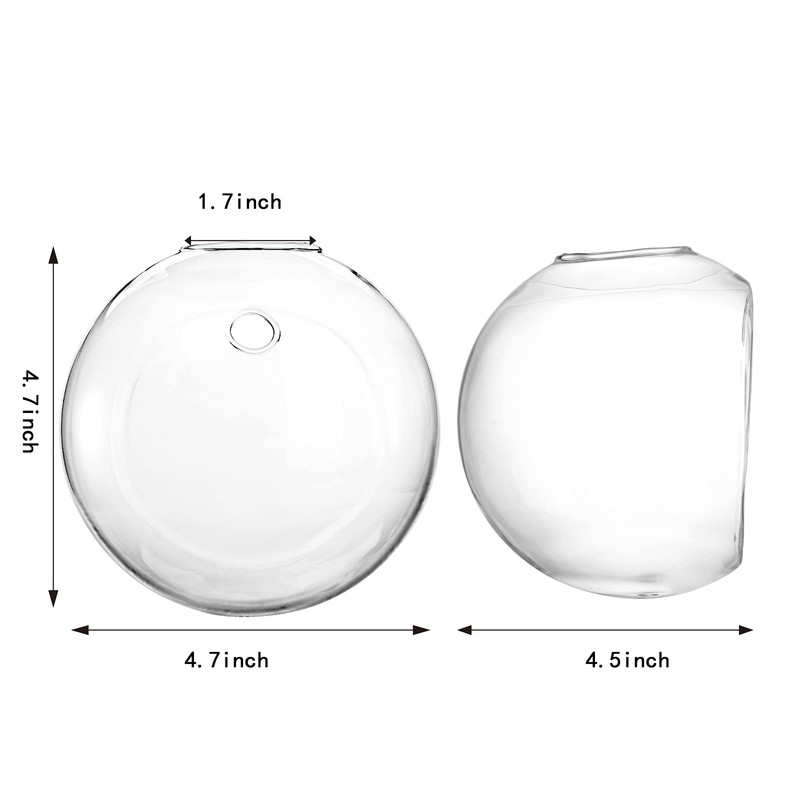 Yarlung 6 Pack Wall Hanging Planters Terrarium, 4.7 Inch Glass