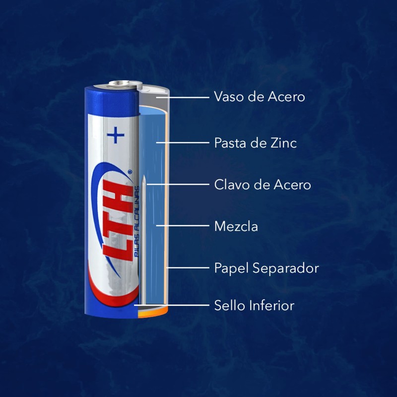 LTH Paquete Blister 10 Pilas AAA Alcalinas 1.5v MAX Duracion