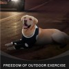 Doglemi XS- 17-19 Dog Suitical Recovery Double Sleeves Dog Apparel,