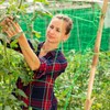 Virsus 1 Garden Vegetable Net Green 1543 Size 1.7 x