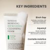 AXIS-Y [AXIS-Y]Sunday Morning Refreshing Cleansing Foam 120ml