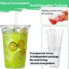 Artsotroly 16 oz Clear Plastic Cups with Lids and Straws,