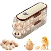 Egg Storage Fridge with Handle, 2 Layers Automatic Rolling Egg