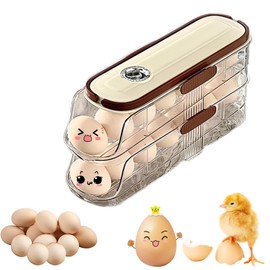 Egg Storage Fridge with Handle, 2 Layers Automatic Rolling Egg Holder Fridge, Egg Container for Fridge with Fixed Buckle Egg Dispenser Fridge Holds 14 Large Eggs