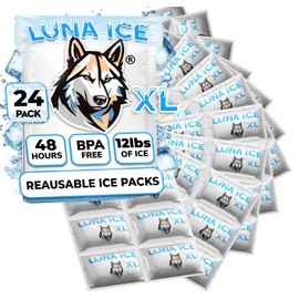Dry Ice Packs for Shipping XL - Long Lasting ice Packs - 24+ Hour Freeze Power - BPA Free - 24 Pack Bulk 12 lb – Hielo Seco - Reusable Gel Bricks for Food