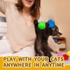 Eerrhhaq Eerrhhaq Cat Toy Balls with Launchers Set,2 Cat Toy