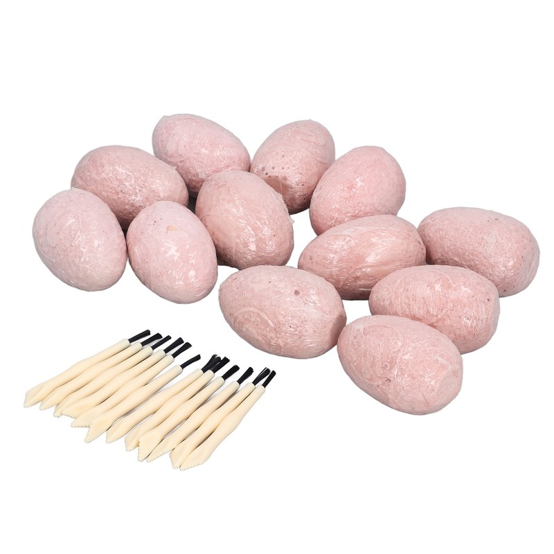 12 Set Dinosaur Egg Dig Kit Dinosaur Egg Excavation Kit