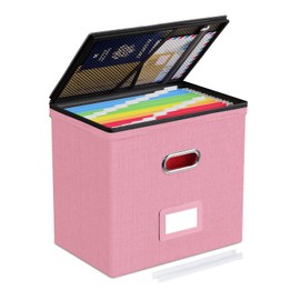 Oterri File Organizer Boxes with Lids, File Box with Mesh Pockets, Document Organizer Box for Letter Size Folders, Zippers Important Document Organizer (Pink, Small-1 Pack Without Folders)