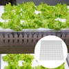 Eshylala 200 Pack Hydroponic Sponge Planting Tool Square Seedling Sponges