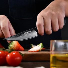 aisyoko 4.5 Inch Paring Knife, Damascus Steel Chef Knife with Ergonomic G10 Handle, VG10 High Carbon Steel, Professional Kitchen Knife for Fruit Vegetable Carving, Ultra Sharp Blades
