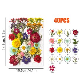 Cayway 40 Pcs Real Pressed Flowers Dry with Tweezers Set, Dried Pressed Flowers Colorful Real Pressed Flowers for Resin Scrapbooking DIY Art Crafts, Epoxy Resin Jewelry, Soap Making