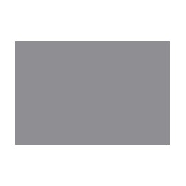 Bronzing Powder Silver