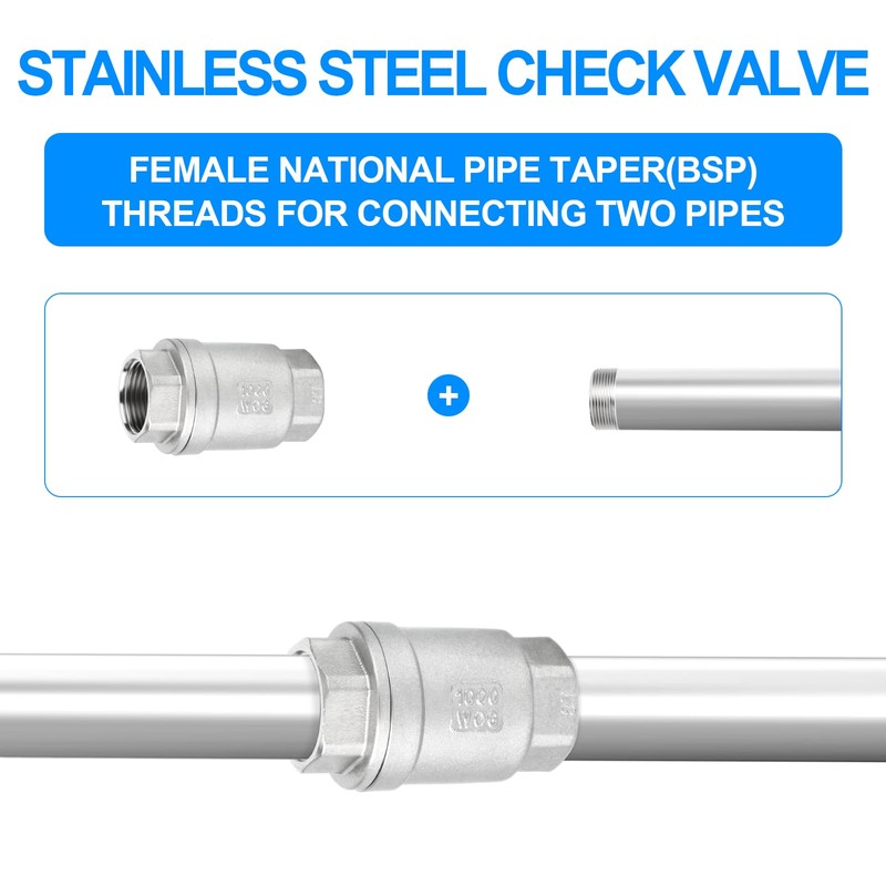 ERGAOBOY Vertical Check Valve, 1/4" BSP Female SUS 304 Vertical