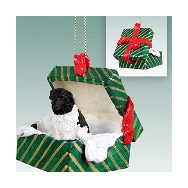 Conversation Concepts Landseer Gift Box Green Ornament