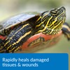 API TURTLE FIX Nonbacilli Turtle Remedy 4-Ounce Bottle
