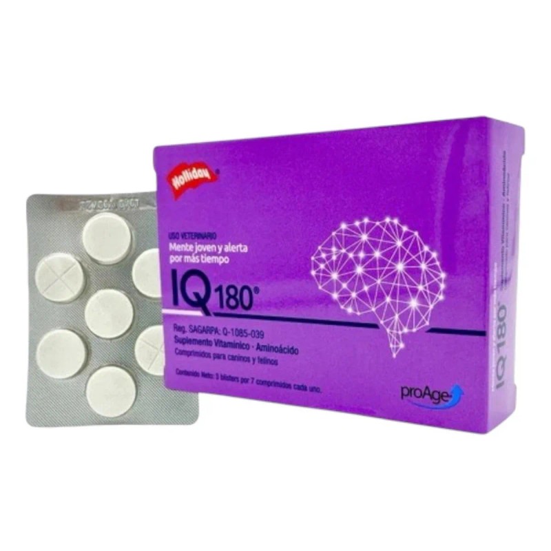 Iq 180 Holliday 21 Comp. Caninos