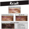 L'OREAL Coloration Temporary Hair Makeup #lilachair