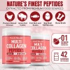 Purely Optimal Multi Collagen Peptides Powder | Types I, II,