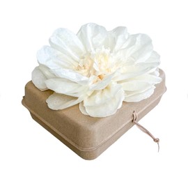 Biodegradable Water Burial Urn Kit - Cruise Approved | Ocean Ashes Scattering Ceremony with Certificate | Eco-Friendly Memorial Urn. (Large)