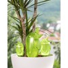 Scheurich 52888 0 XL 087/14 Bordy Watering System - White/Champagne