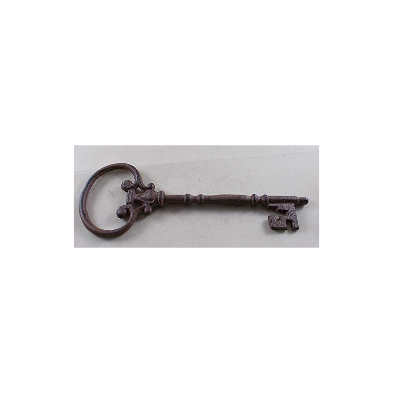 Iron Decorative Skeleton Key, Brown, Size No Size