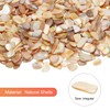 sourcing map 500g Shredded Shells, Irregular Natural Mosaic Shell Fragments