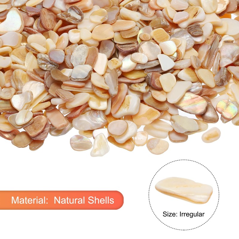 sourcing map 500g Shredded Shells, Irregular Natural Mosaic Shell Fragments
