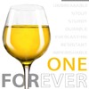 crayline Plastic Wine Glasses Set of 4(15oz) |Unbreakable Wine Glasses