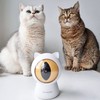 Pettadore - Laser Cat Toy - Smart Laser Pointer with